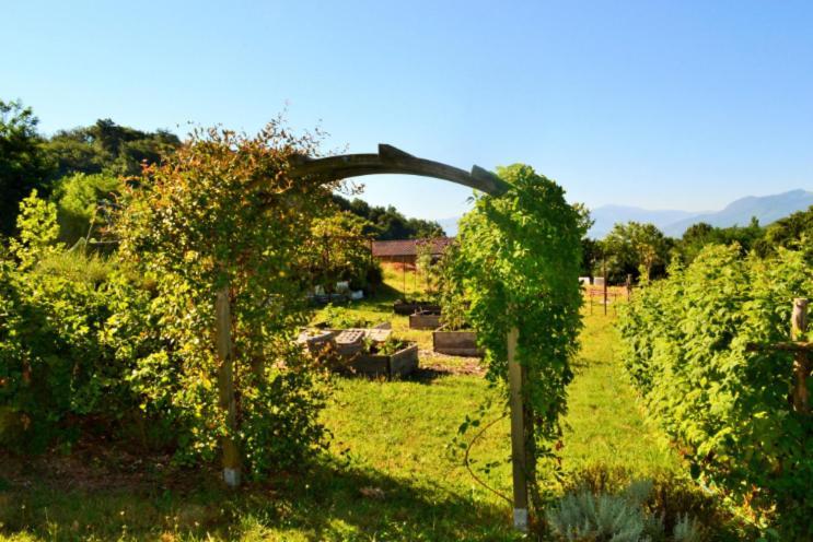 La Voureyline Bed and Breakfast Saint-Antoine  Εξωτερικό φωτογραφία
